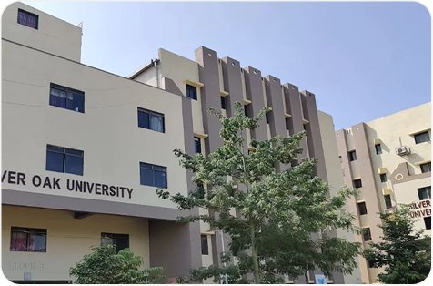 Silver Oak University